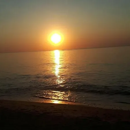 Zuza Blisko Plazy * レバル