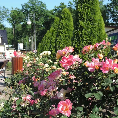 アパート Zuza Blisko Plazy *