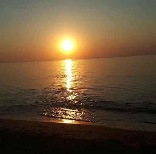 Zuza Blisko Plazy * レバル