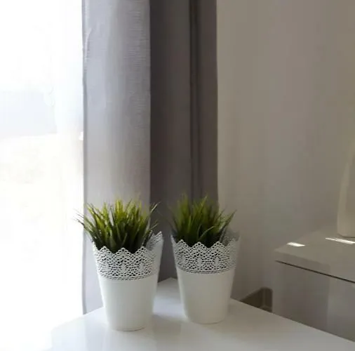 Zuza Blisko Plazy * レバル