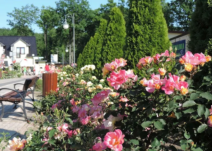 Daire Zuza Blisko Plazy *