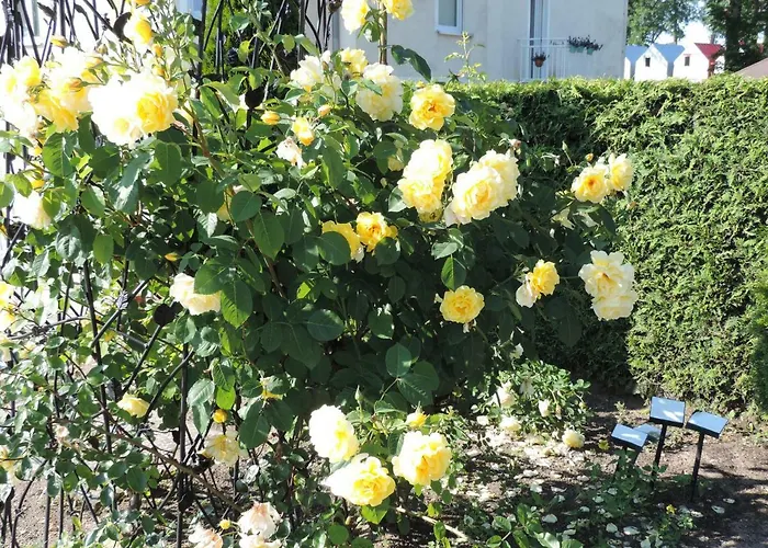 Zuza Blisko Plazy アパート レバル